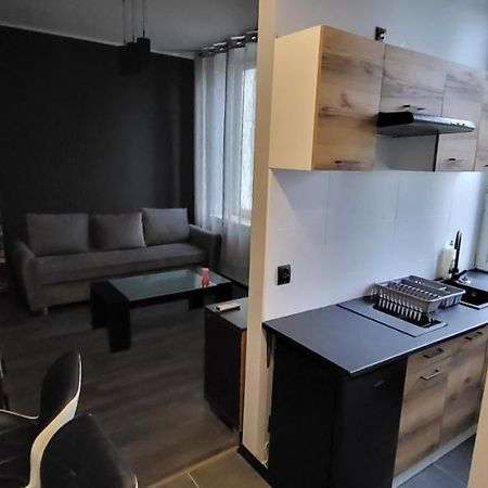 Appartamento Apartament Pod Wieza Piotrków Trybunalski Esterno foto